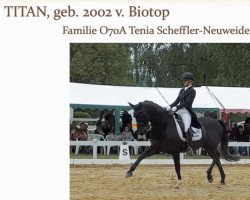 Dressurpferd Titan 127 (Trakehner, 2002, von Biotop)