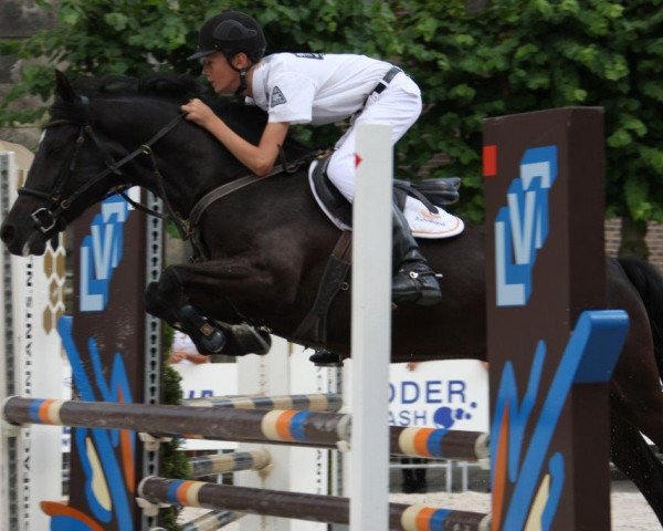 horse Nathan (German Riding Pony, 2007, from Wengelo's Nelson)