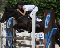 Pferd Nathan (Deutsches Reitpony, 2007, von Wengelo's Nelson)