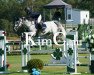 jumper Cornet's Baloufee (Oldenburg show jumper, 2009, from Cornet's Stern)