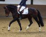 dressage horse Flash JJ (Rhinelander, 2010, from Fürst Grandios)