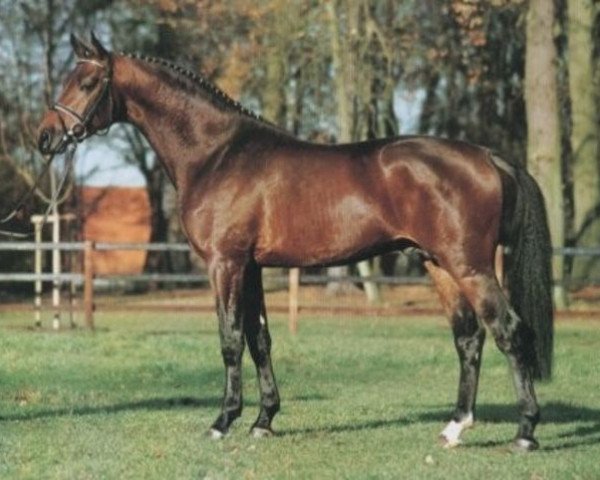 stallion Limes (Rhinelander, 1997, from Lancer II)