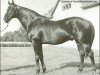 stallion Beau Pere xx (Thoroughbred, 1927, from Son In Law xx)