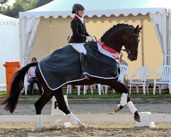 dressage horse Silbermond (Westphalian, 2007, from Sir Donnerhall I)
