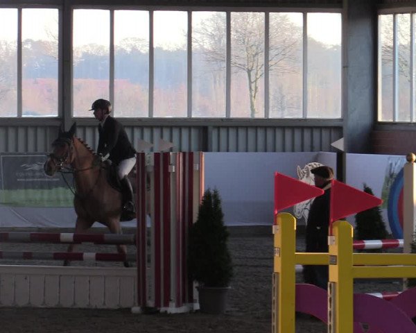 Reitturnier Greven 2022
