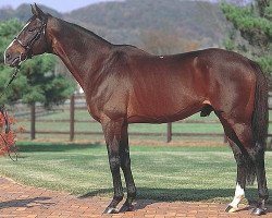 stallion Silent Hunter xx (Thoroughbred, 1993, from Sunday Silence xx)