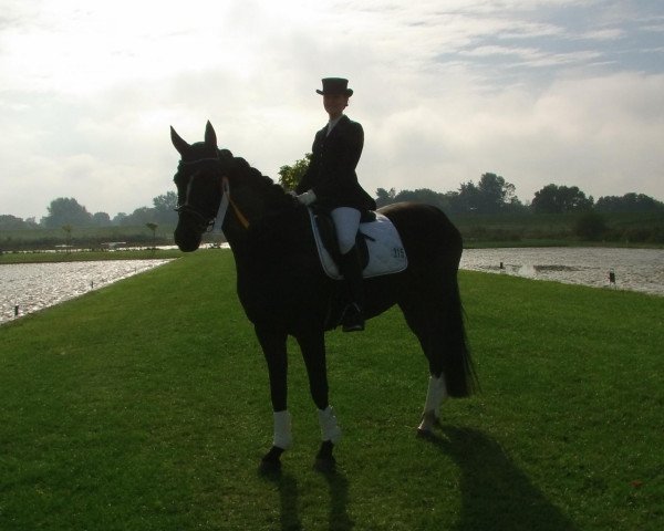 dressage horse Lord Byron 8 (Westphalian, 2003, from Londonderry)