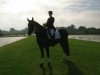 dressage horse Lord Byron 8 (Westphalian, 2003, from Londonderry)