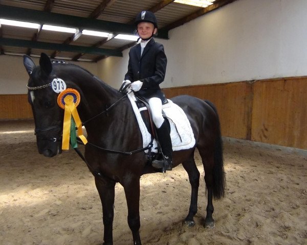 Dressurpferd Mouby (Deutsches Reitpony, 2007, von Man in Black)