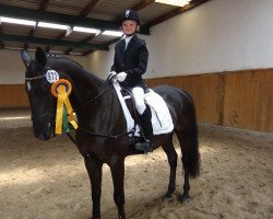 dressage horse Mouby (German Riding Pony, 2007, from Man in Black)