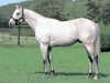 stallion Kurofune xx (Thoroughbred, 1998, from French Deputy xx)