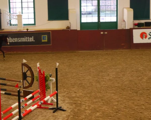 Reitturnier Redefin 2022