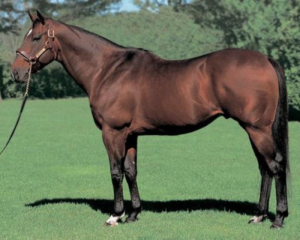 stallion Sakura Bakushin O xx (Thoroughbred, 1989, from Sakura Yutaka O xx)