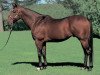 stallion Sakura Bakushin O xx (Thoroughbred, 1989, from Sakura Yutaka O xx)