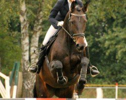 dressage horse Fantasie (Hanoverian, 2001, from Fabriano)