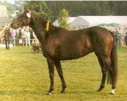 broodmare Mara (Rhinelander, 1986, from Matcho AA)