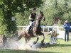 dressage horse Cope Coral (Holsteiner, 2007, from Claudio)