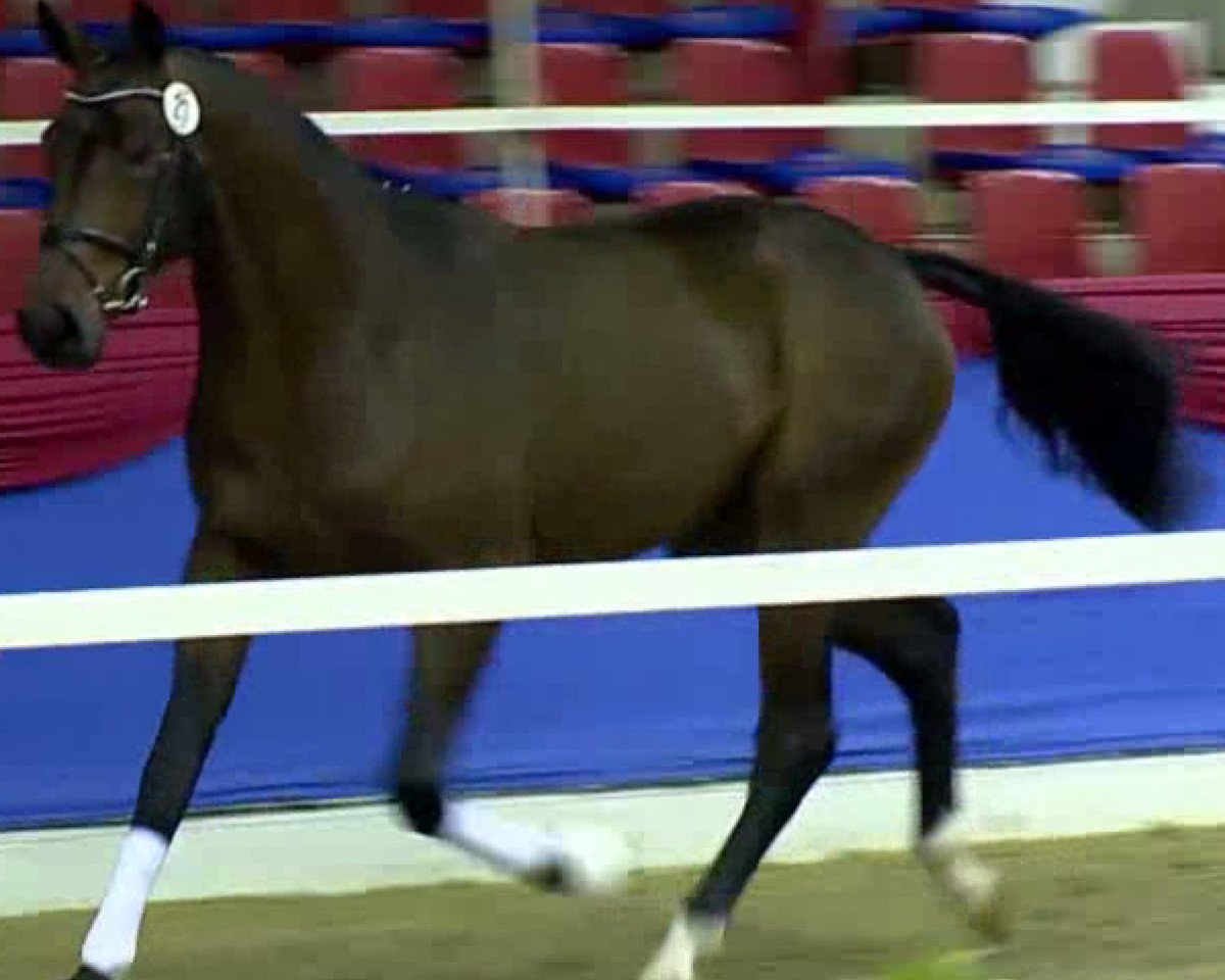 dressage horse Remedy of Joy (Oldenburg, 2011, from Rosandro)