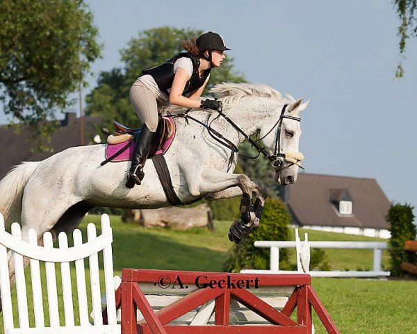 Springpferd Lady 747 (Lettisches Warmblut, 1995)