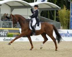 dressage horse D'Agostino FRH (Hanoverian, 2000, from De Niro)