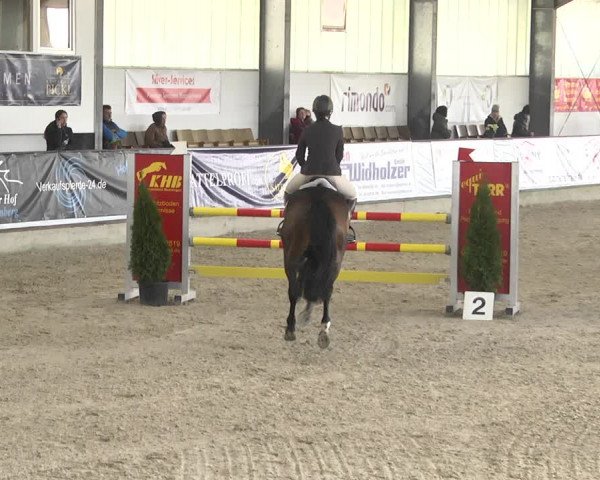 Reitturnier Karlsfeld 2022