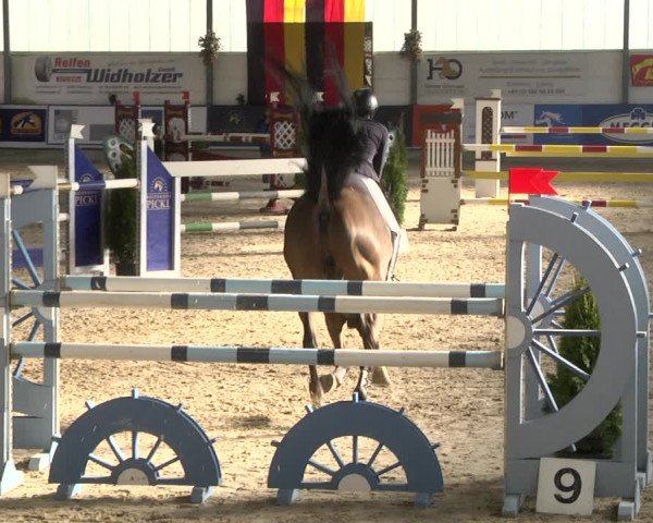 Reitturnier Karlsfeld 2022