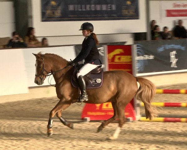 Reitturnier Karlsfeld 2022