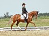 dressage horse Fehkamps Mia Roos (German Riding Pony, 2005, from FS Don't Worry)