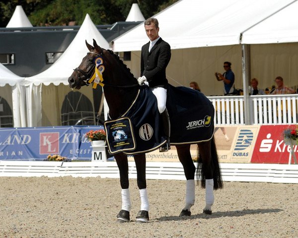horse Fürst Romancier (Oldenburg, 2004, from Fürst Heinrich)