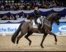 dressage horse Birkhof's Dave FBW (Württemberger, 2003, from Denaro)