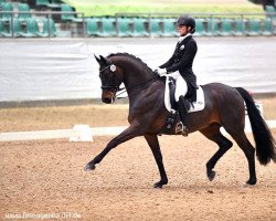 dressage horse Gut Wettlkam’s Fürst Donnerhall (Westfale, 2012, from Fürstenball)