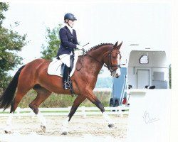 dressage horse Choccolata (Oldenburger, 2007, from Cristallo I)