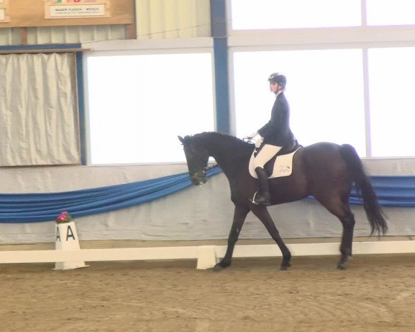 Reitturnier Buchs 2022