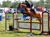 broodmare Givago van de Groenedijk (Belgian Warmblood, 2006, from Poor Boy)