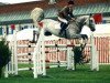 Deckhengst Furisto's Diamond (Irish Sport Horse, 1993, von Furisto)