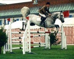 Deckhengst Furisto's Diamond (Irish Sport Horse, 1993, von Furisto)