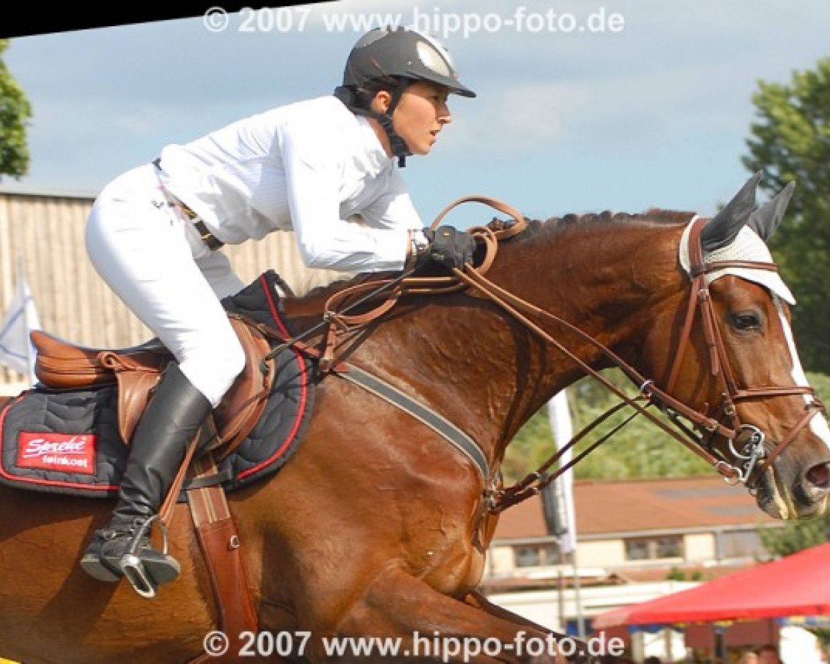 broodmare Miss Saigon 3 (Holsteiner, 1997, from Alexis Z)