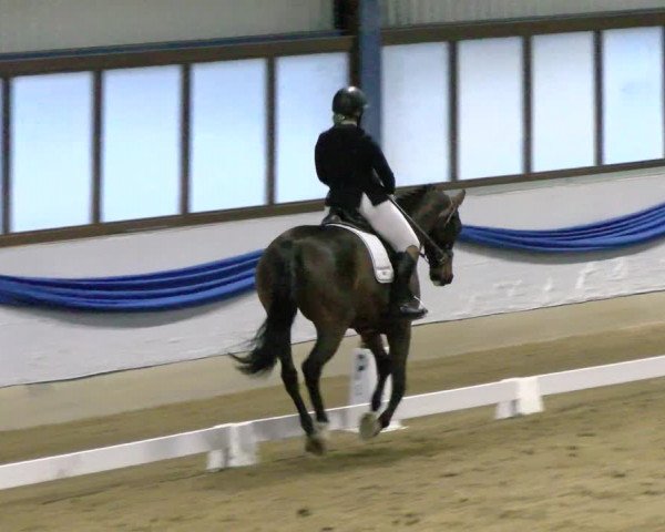 Reitturnier Buchs 2022