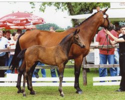 broodmare Arielle (Oldenburg, 1991, from Aletto)