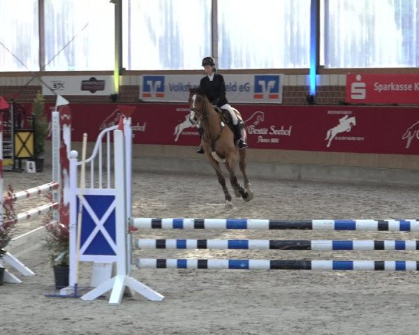 Reitturnier Kaldenkirchen - Gestüt Seehof 2022