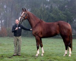 Zuchtstute Freya (Westfale, 2001, von Florestan I)