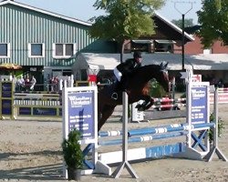 dressage horse Cathy-Lee (Hanoverian, 2008, from Contendros Bube)