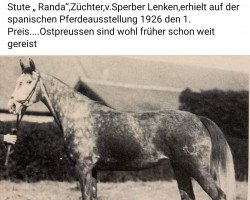 horse Randa (Trakehner, 1922, from Aladin (Trak))