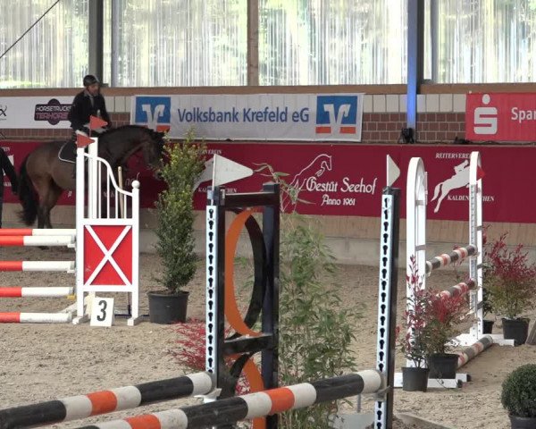 Reitturnier Kaldenkirchen - Gestüt Seehof 2022