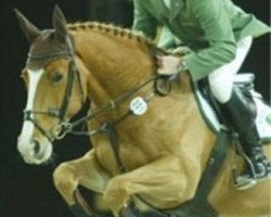 jumper for Fun 16 (Hanoverian, 1995, from For Pleasure)