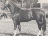 stallion Agent (Westphalian, 1964, from Aar)