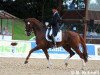 dressage horse Diamonds Head (Hanoverian, 2005, from Don Schufro)