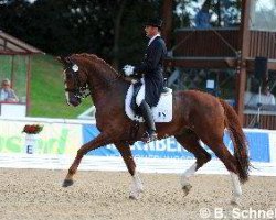 dressage horse Diamonds Head (Hanoverian, 2005, from Don Schufro)