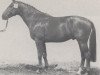 stallion Fernandez (Westphalian, 1979, from Frühlingsball)
