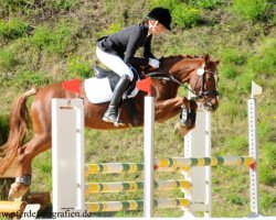 broodmare Rapunzel (German Riding Pony, 2008, from Crystal Cool Spirit)